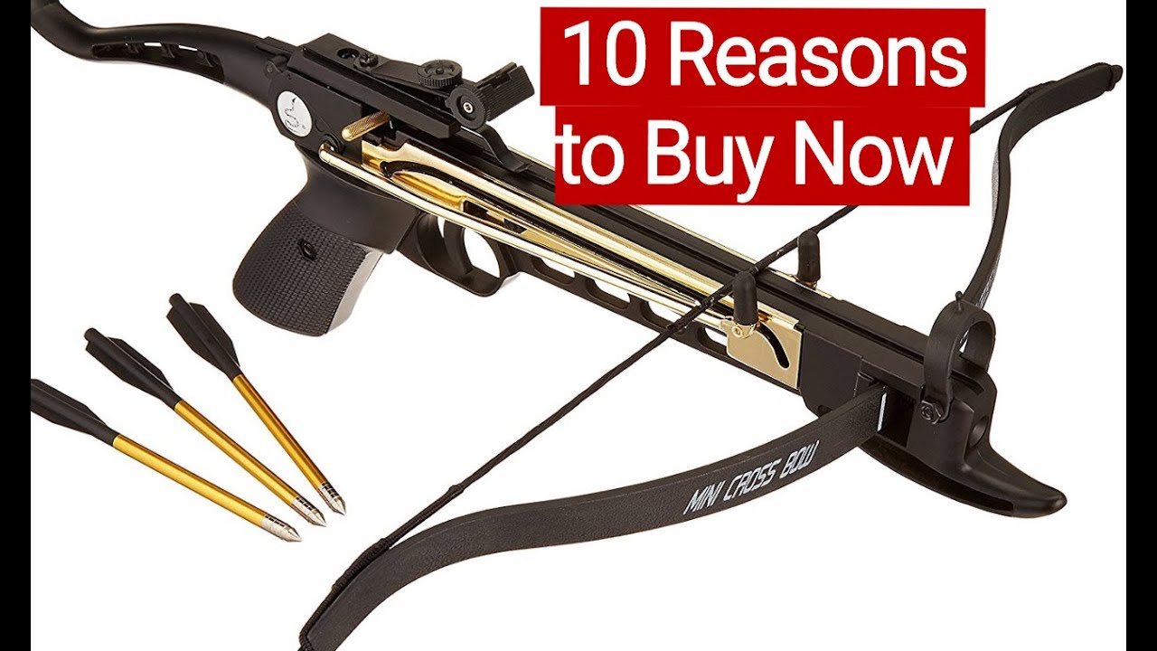 10 good reasons to buy 80 lb pistol crossbow and 4 bad ones not to 