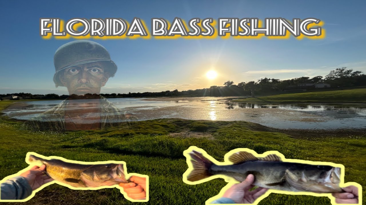 Bass fishing Florida ponds ￼#bassfishinglife #fishing #bass