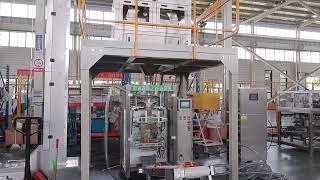 VFFS Bagging Machine with Linear Scale