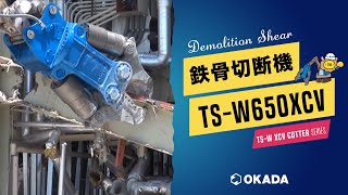オカダアイヨン クロスカッター 1/50 mqdefault.jpg