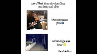DIFFERENCE 😅! #shortviral #funny #petmemes #dogshorts credit to @simple_nisha
