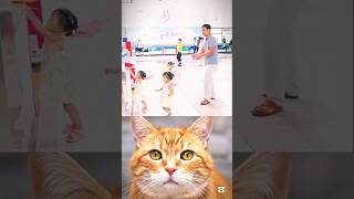 i have no words for video title 😱😎🤣 #cat #meme #dance #trending