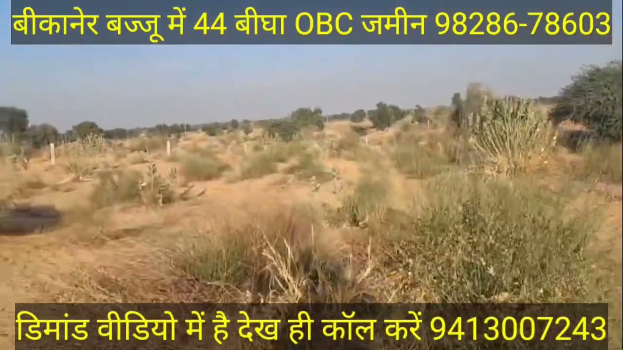 बीकानेर के छतरगढ़ 50बीघा 5कमांड 98286-78603 