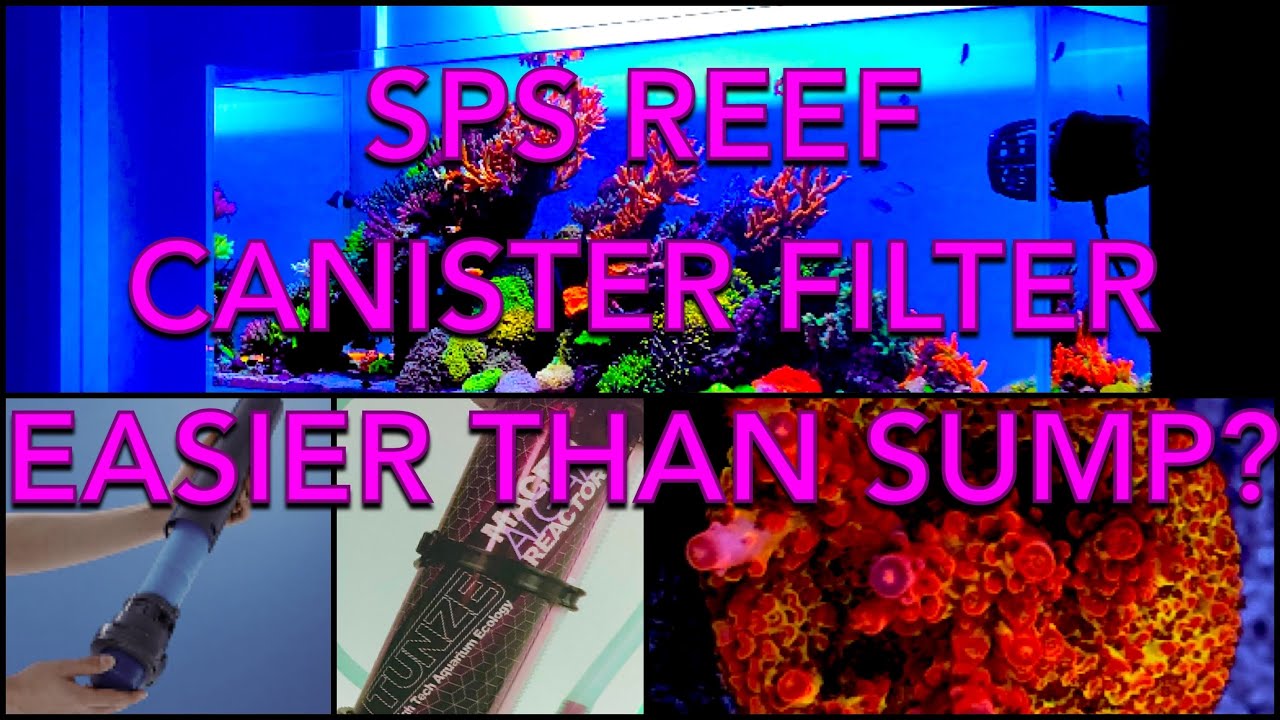 Is This Filtration Method Better Than a Sump? Find Out How I Have