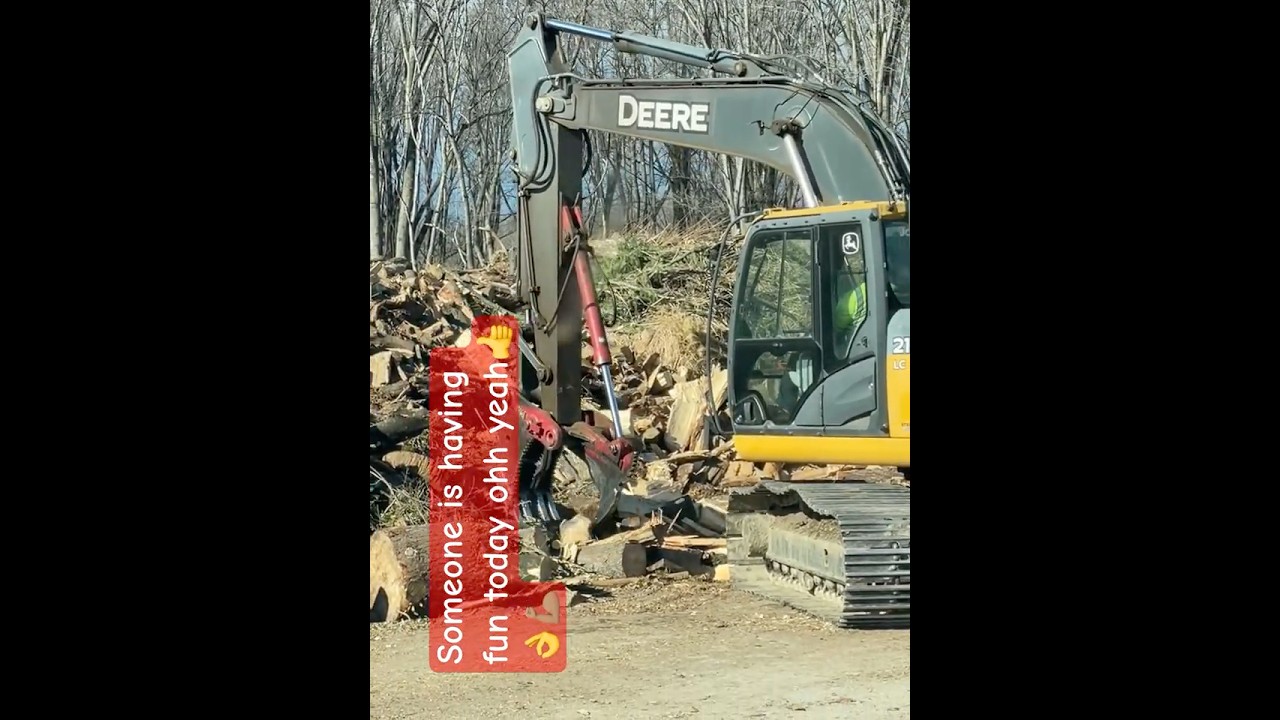 Eating wood 🪵 🫣😝 #likeit #funjob#landscaping