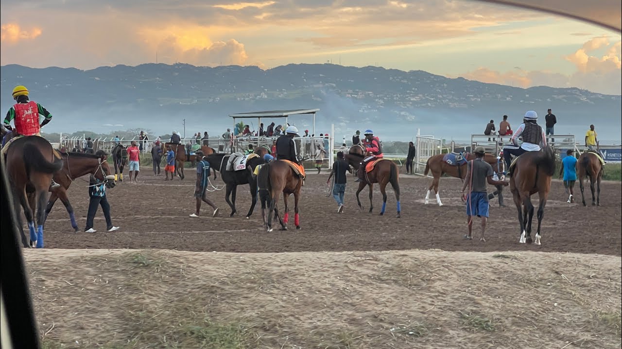 Everything WithJahv is live!