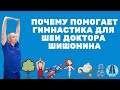 Почему ПОМОГАЕТ, а не вредит неправильное выполнение Гимнастики для шеи Доктора Шишонина