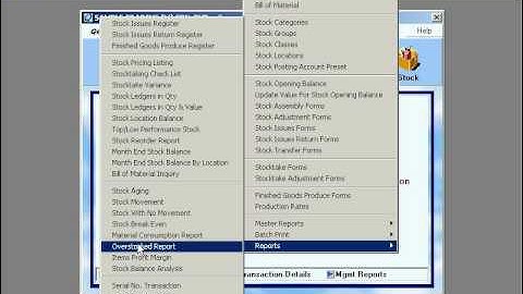 QnE Video Training - 55. Stock Report 6