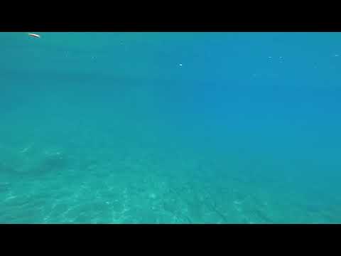 xiaomi yi 4k