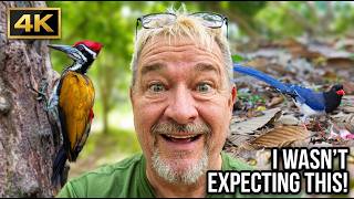 This Temple Birding Trip Had Huge Surprises! #birds #wildlife #nature