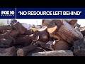 Storm-damaged trees given new life after Tempe microburst | FOX 10 Phoenix