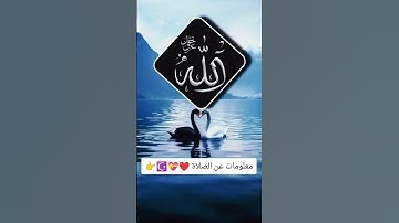 لا تهرب من إسم الله أكتب يا الله وانشر القرآن الكريم نور القلوب معلومات عن الصلاة #المصحف #الرحمن