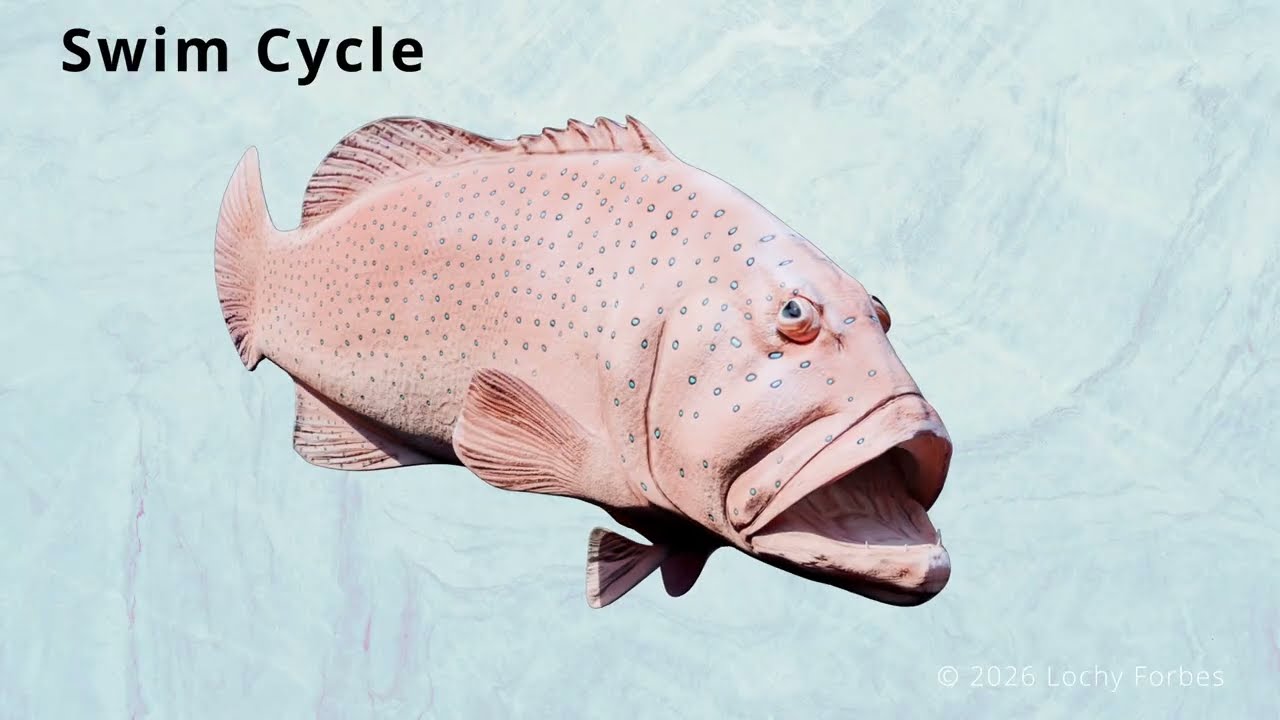 CGI meets the GREAT BARRIER REEF (Animation)