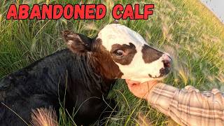 The Big Problem With HEIFERS... It's Not What You THINK!