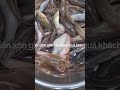 CÁ LỘN XỘN GHE CÀO - ĐẶC SẢN CÁ SÔNG THIÊN NHIÊN AN GIANG