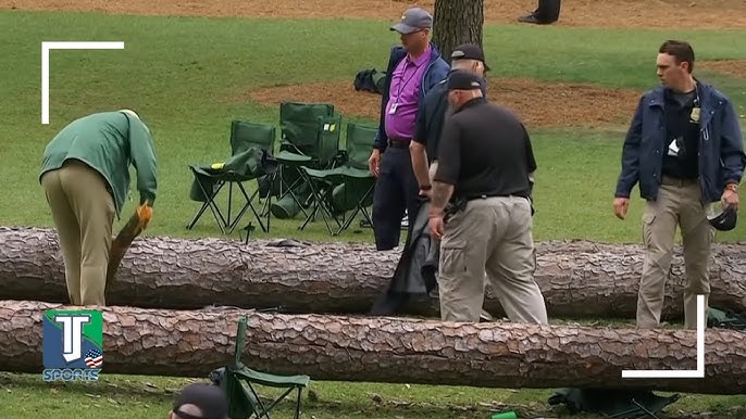 Towering trees fall at 2023 Masters, narrowly missing fans in attendance  (video) 