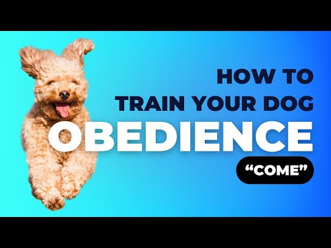 Recall to Front tutorial thumbnail