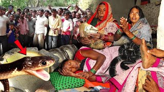 सांप ने काटा महिला को ज़िन्दगी और मौत से लड़ाई इतना दर्द भगवान किसी को न दे Murliwale Hausla