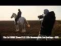 The 1st SIRUI 75mm F1.8 1.33x Anamorphic Lens footage + BTS