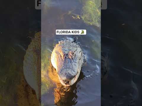 Typical Florida Kids.... 🐊 #floridaman #gators #fishing #childhood #raisinggirls