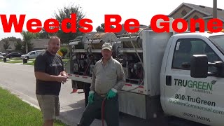 Before and After - TruGreen Service Kills Weeds In 5 Days