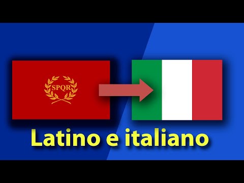 Video: Cos'è un latino?