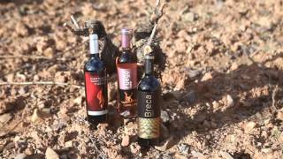 Single Wine | Jorge Ordóñez Selections