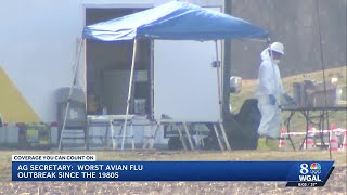 Avian flu in PA