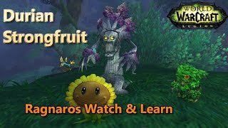 Durian Strongfruit Ragnaros Watch and Learn Family Familiar Training With Durian