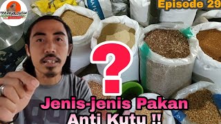 JENIS CAMPURAN PAKAN BURUNG TEKUKUR ALAMI DAN PALING SEHAT.