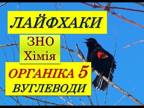 ЛАЙФХАКИ ДЛЯ ЗНО ХІМІЯ | ВУГЛЕВОДИ | ГЛЮКОЗА, САХАРОЗА, КРОХМАЛЬ, ЦЕЛЮЛОЗА