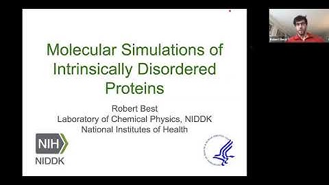 HITS Colloquium: Robert Best on simulations of Intrinsically Disordered Proteins