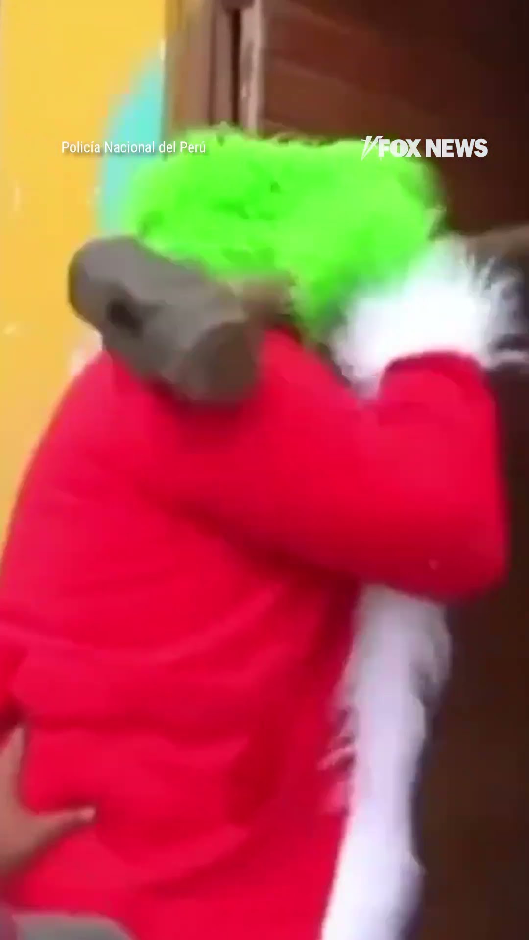 Grinch takes down suspected drug traffickers