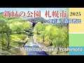 新緑の公園風景 2025 水彩画 酒井芳元