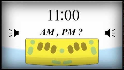 Mountbatten 14 LSEF Time and Date