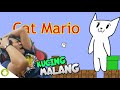 INI GAME BUSUK!!!!!!!!!!!!! Mario Cat 3D [INDONESIA] ~Susah Banget Parahh!!