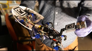 The Future of Robotics = Roaches