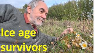 The Burren: A Perfect Storm of Ecology, Climate and Geology