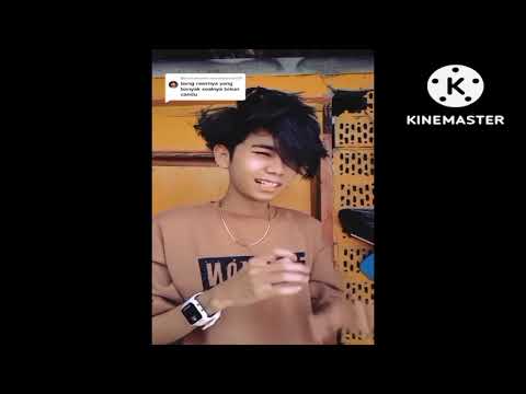KAMU NANYA? Raaawr..|| 1 JAM Raaawr.