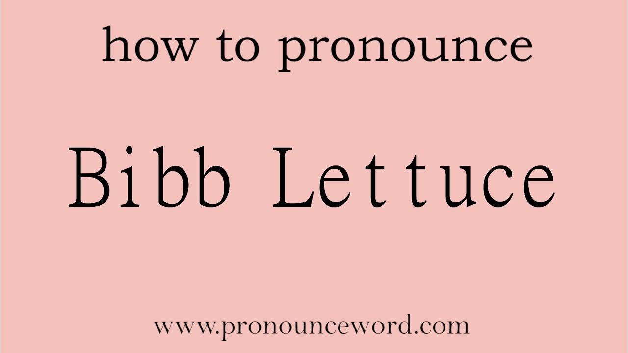 Bibb Lettuce How to pronounce Bibb Lettuce in english (correct!).Start