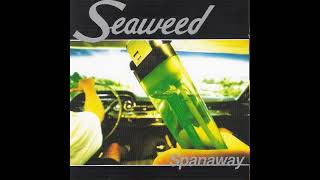 Seaweed "Magic Mountain Man" Spanaway 1995