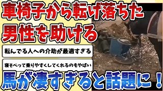 Download Lagu 【2ch動物スレ】車椅子から転げ落ちてしまった男性を体を張って助けようとする【馬】の行動が優しくて凄すぎると話題に！！！ MP3