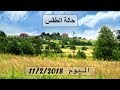 حاله الطقس بمصر و الدول العربية ليوم الاحد 11 2 2018