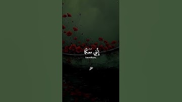قال لا تخاف أنني معكما اسمع و أرى تلاوة القرآن الكريم تلاوة من سورة طه #quran #deen #allah #قرآن
