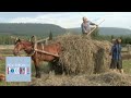 Сибирские поляки  Моя любовь  Россия!  Телеканал Культура