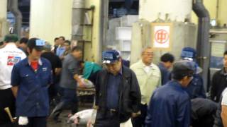 Japan Day 3 - Tsukiji Fish Market [4]