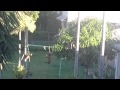 VIDEO: The old jump and swing, your dog can't do this!