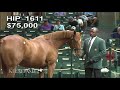 Monomoy girl as a keeneland september yearling