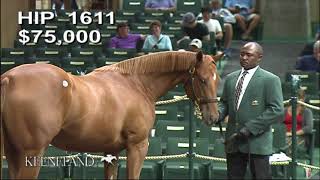 Monomoy Girl as a Keeneland September yearling