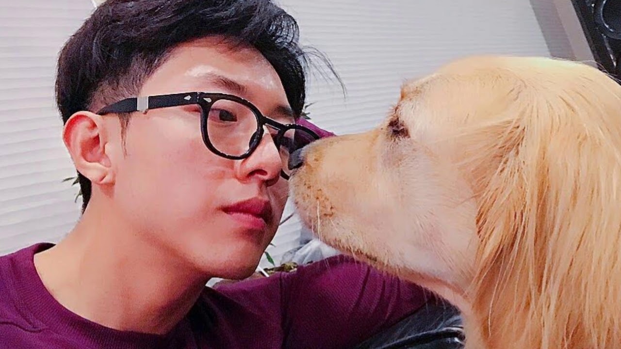 20180615 HAPPY BIRTHDAY Simba! - YouTube